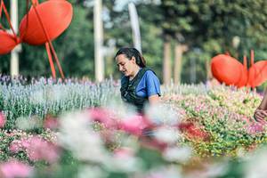 BIB: 
                            <button type="button" onclick="openModal(25932463)" class="btn btn-primary btn-sm float-right btn-popup" data-toggle="modal" data-target=".modal-high-quality">
                        <i class="fas fa-shopping-cart"></i> Add to Cart
                    </button>
                                            <button type="button" onclick="isThisMe(25932463, true)" class="btn btn-success btn-sm float-right btn-popup btn-isme hidden" data-toggle="tooltip" data-placement="bottom" title="นี่คือรูปของคุณใช่ไหม คลิกที่นี่เพื่อเอาเข้าอัลบั้ม">
                        <i class="fas fa-plus"></i> Add to album
                    </button>
                    <button type="button" onclick="isThisMe(25932463, false)" class="btn btn-warning btn-sm float-right btn-popup btn-isnotme hidden">
                        <i class="fas fa-ban"></i> Remove from album
                    </button>